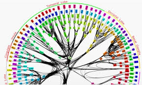 Image neurone